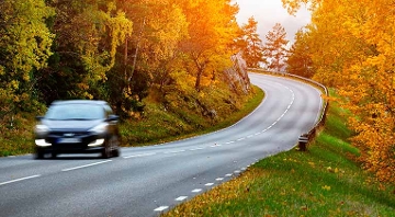 coche en carretera entre árboles con hojas naranjas