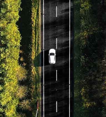 vehiculo en carretera en medio de bosque