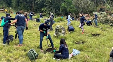 reforestacion ciudad de mexico element