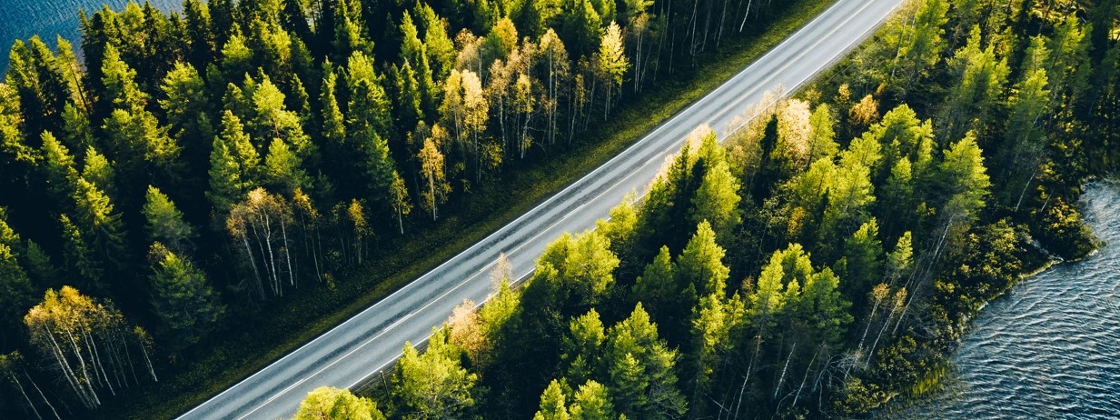vista aérea de carretera entre árboles y agua