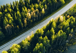 vista aérea de carretera entre árboles y agua