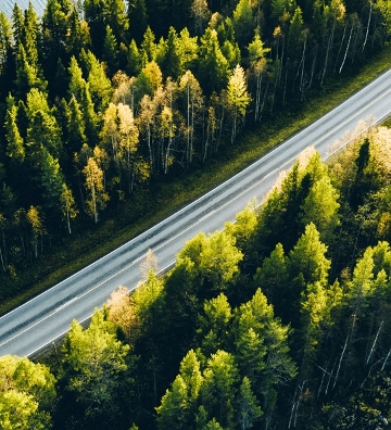 vista aérea de carretera entre árboles y agua