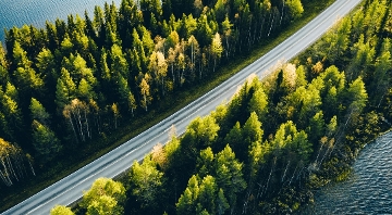 vista aérea de carretera entre árboles y agua