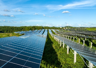 paneles solares sobre campo verde