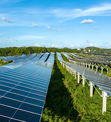 paneles solares sobre campo verde