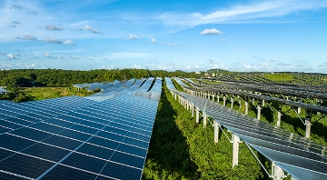 paneles solares sobre campo verde