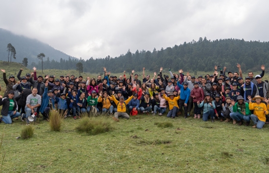 element mexico en reforestacion